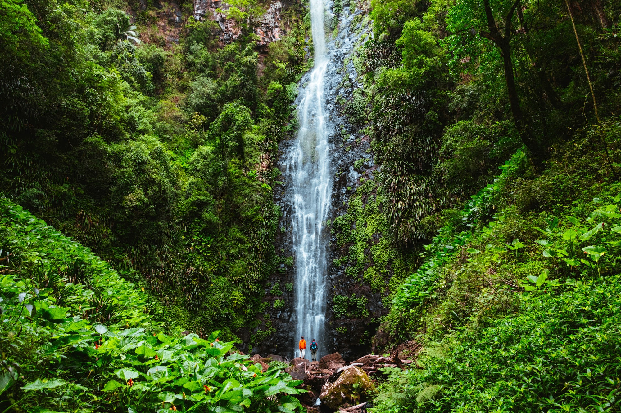 Larapinta Falls, Queensland. - Walkers Journal