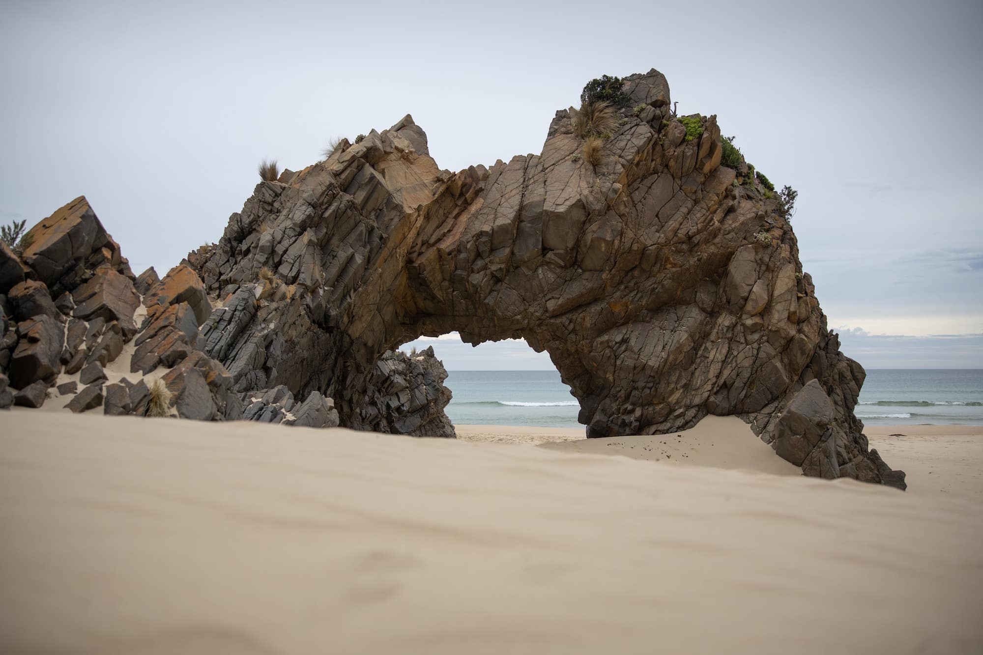 Cape Queen Elizabeth Track Cape Elizabeth Walk Bruny Island Tasmania