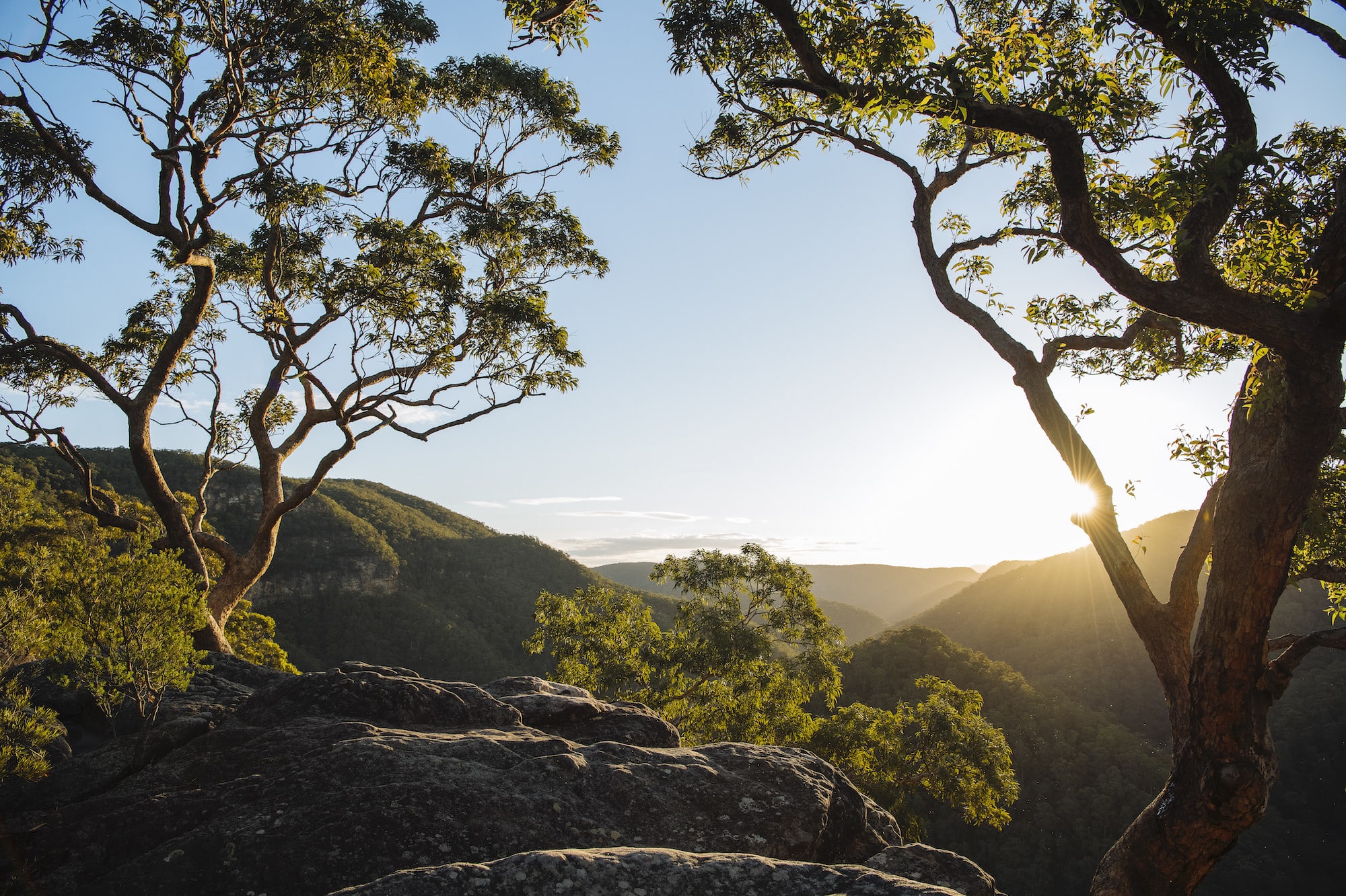 Vale of Avoca Loop, New South Wales. - Walkers Journal