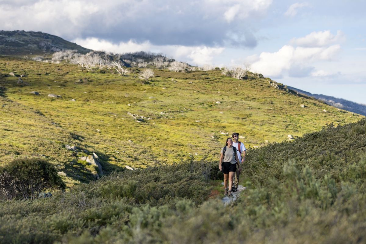 new-guthega-to-charlotte-pass-walk-walkers-journal